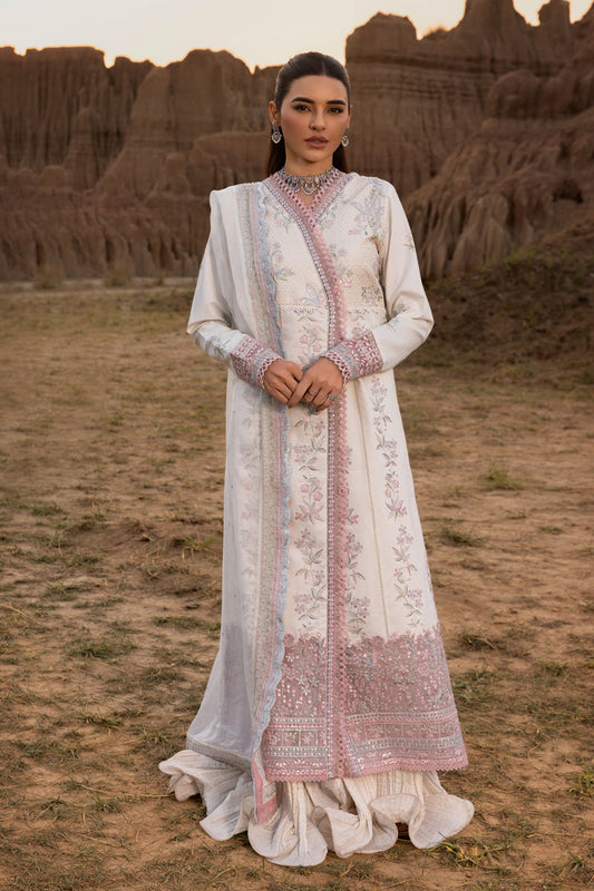 Haya