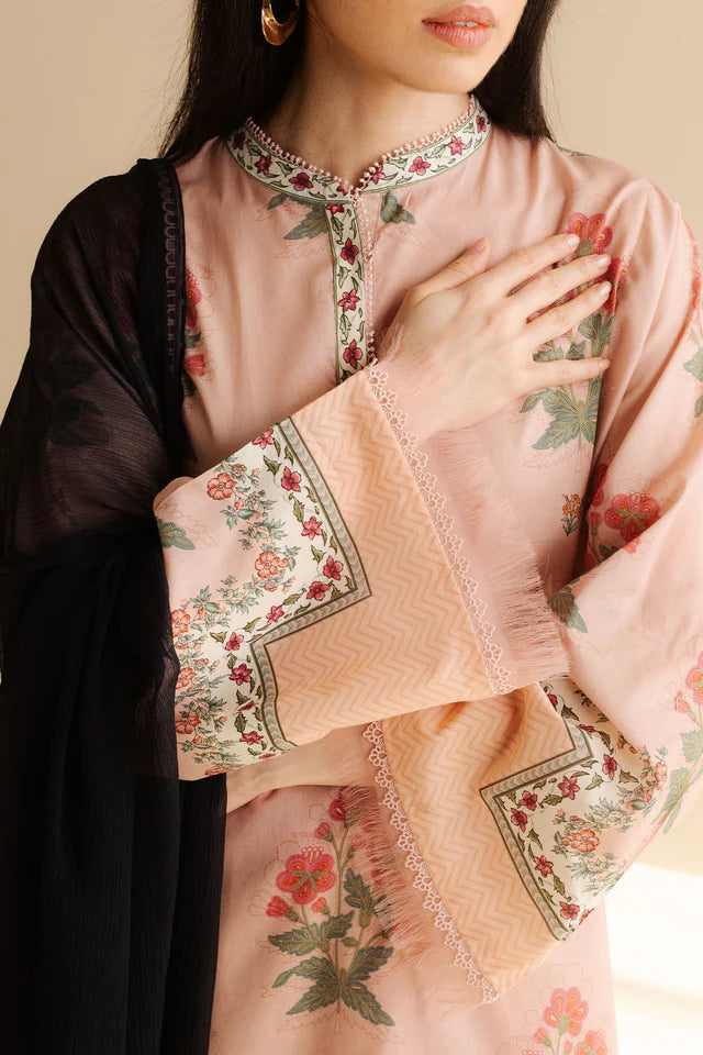 RAYA-2A