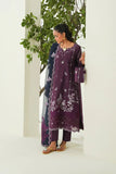 Sweet Pea - MS50334