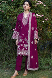 Afreen (ZW24-12)