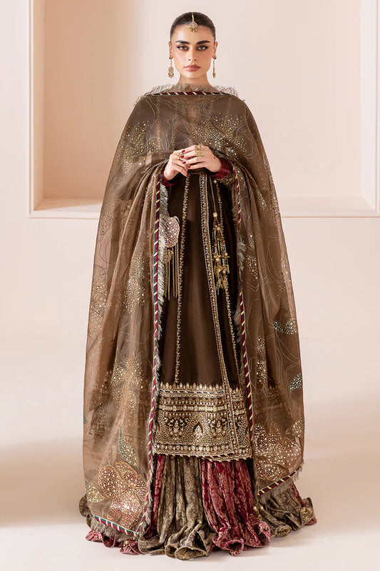 Embroidered Velvet Formal CVF D-04