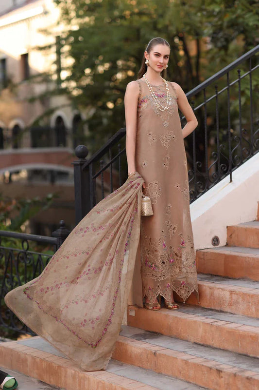 D5 - B - Warm Biscotti