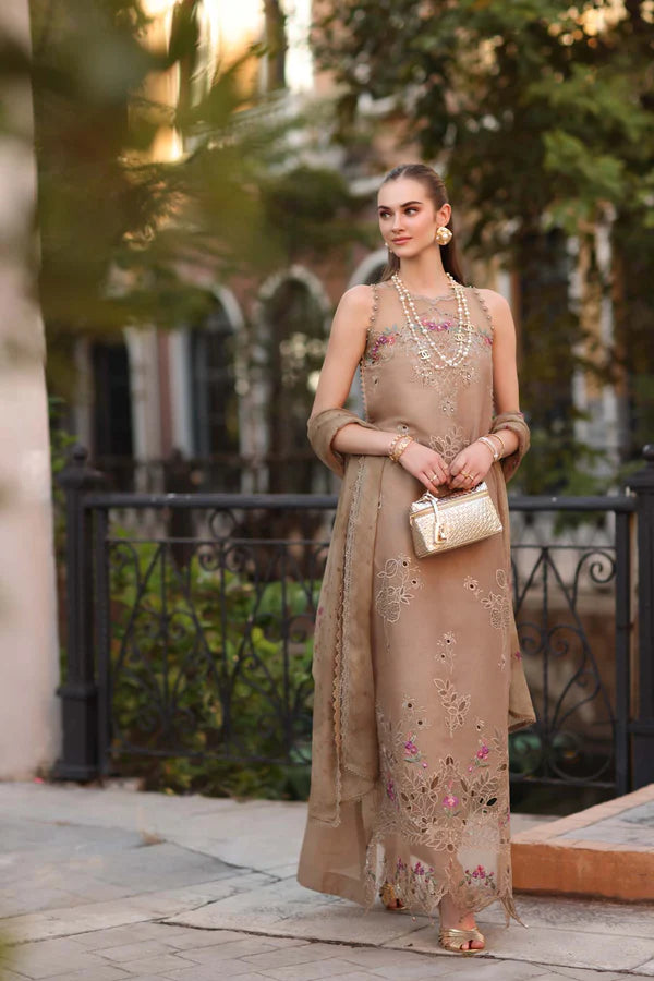 D5 - B - Warm Biscotti