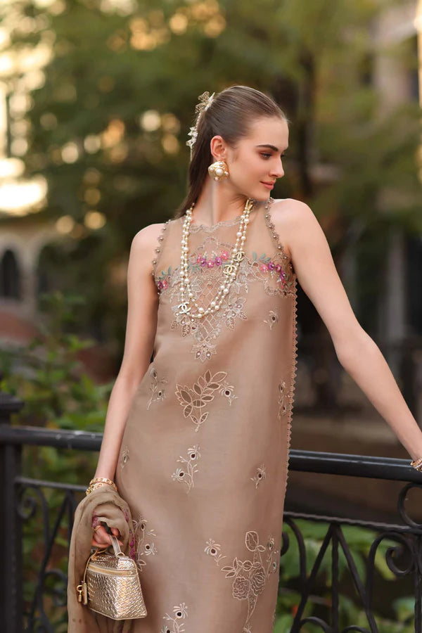 D5 - B - Warm Biscotti