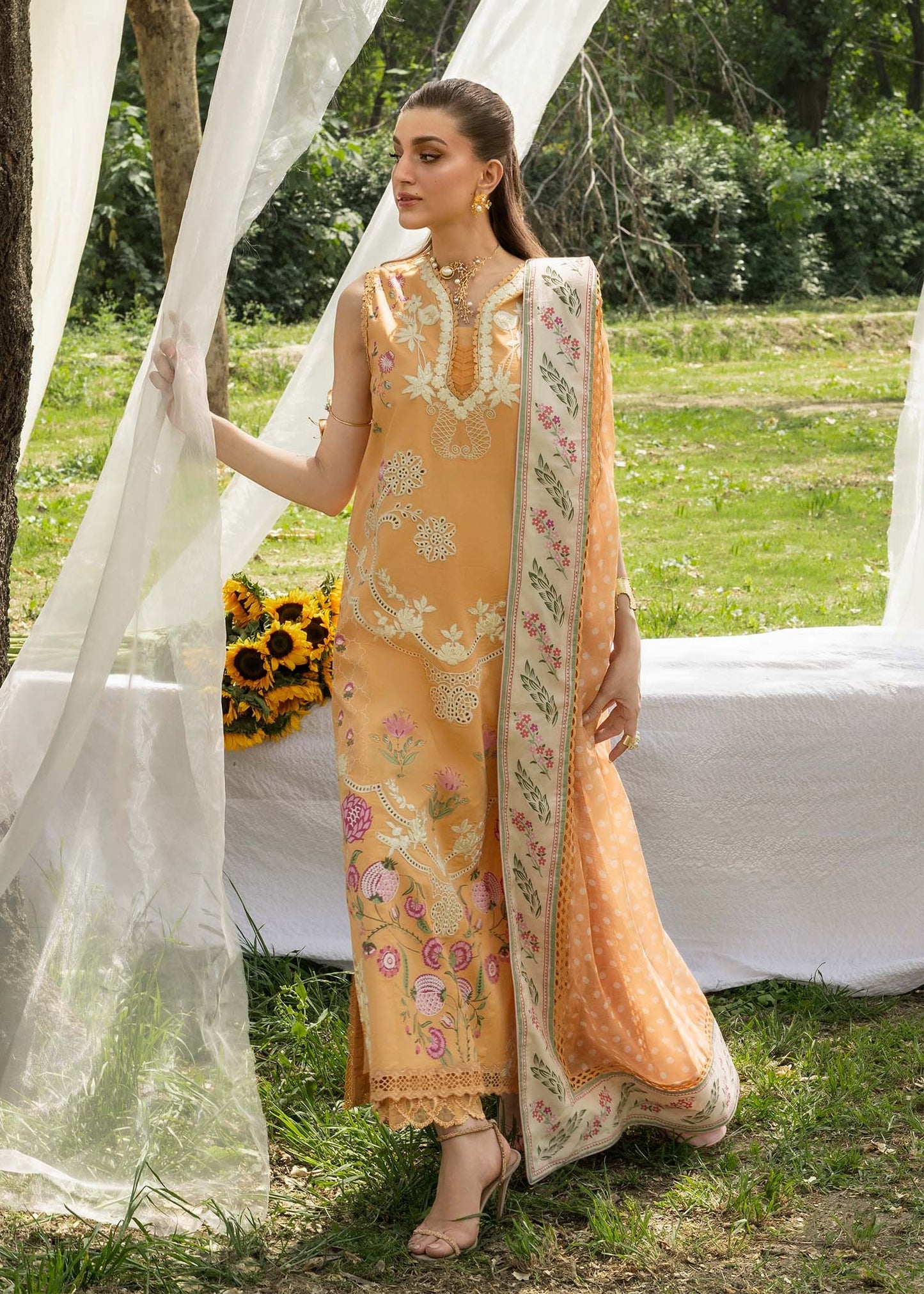LILY 1B
