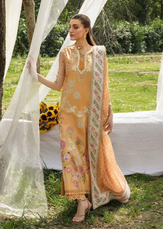 LILY 1B