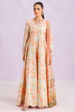 Light Coral