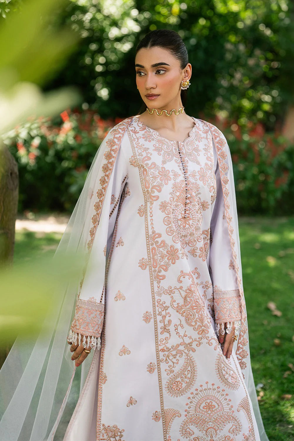 DAHLIA - MSU0629