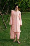 ANEMONE - MSU0631