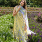 Sunlit Meadow