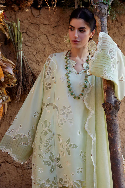 TÁO RÓU 桃柔 (ZL26-14 B)